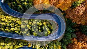 Aerial drone view of winding forest road in the mountains. Colourful landscape with rural road, trees with yellow leaves