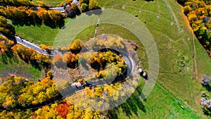 drone view of winding forest road in the mountains. Colourful landscape with rural road, trees with yellow leaves