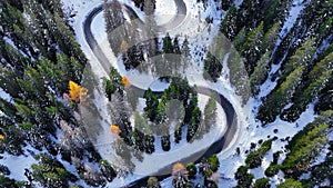 Aerial drone view winding mountain road between autumn trees and snow spruce forest. Serpentine snake road in Italian