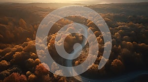 Aerial drone view of a winding road among a beautiful autumn forest at sunset. Generative AI