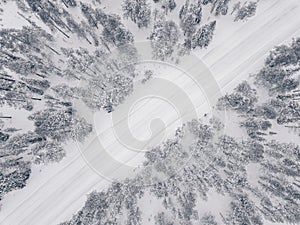 Aerial drone view of winter forest and road covered with snow.