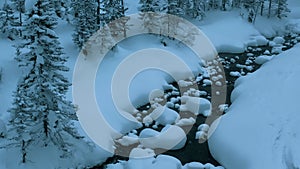 Aerial drone view winter landscape river in snowy mountain fir-trees forest in snowstorm. Winter Russia, Siberia.