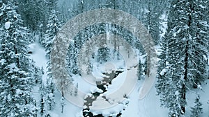 Aerial drone view on winter landscape with a river in a snowy mountain forest in a snowstorm. Winter Russia, Siberia