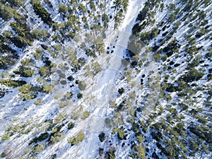 Aerial drone view of a winter road landscape. Snow covered forest and road from the top. Sunrise in nature from a birds eye view