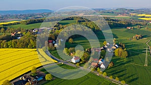 Aerial drone view of yellow rapeseed fields in German countryside