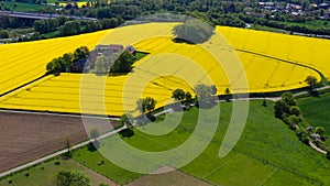 Aerial drone view of yellow rapeseed fields in German countryside