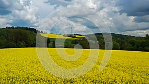 Aerial drone view of yellow rapeseed fields in German countryside