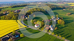 Aerial drone view of yellow rapeseed fields in German countryside