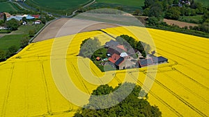 Aerial drone view of yellow rapeseed fields in German countryside