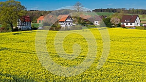 Aerial drone view of yellow rapeseed fields in German countryside