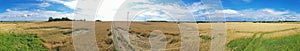 Aerial drone wide panoramic view on damaged wheat field after wind storm, rural landscape