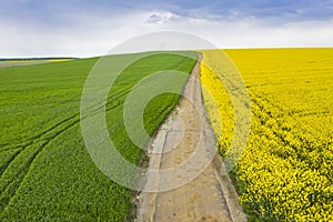 Aerial earth road in rural landscape