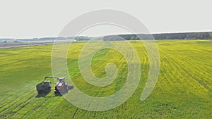 Aerial Elevated View Of Combine Harvester And Truck Working Together In Field. Harvesting Of Oilseed In Spring Season