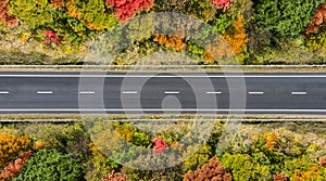 Aerial. Empty highway countryside asphalt road through the autumn forest. Top view from drone