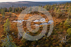 Aerial of famous hanging bogs in autumnal Riisitunturi National Park