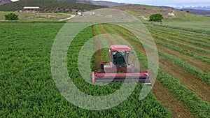 Aerial Farm field swather cutting alfalfa hay pull fast motion 4K