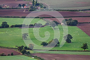 Aerial farming fields and livestock