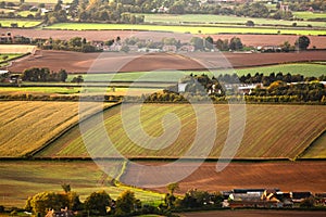Aerial farmland fields