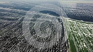 Aerial fields in early spring. Aerial shot of fields with various types of agriculture early spring