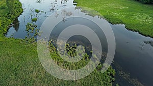 Aerial filming over the swampy terrain and meadows