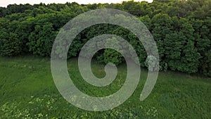 Aerial filming over the swampy terrain and meadows