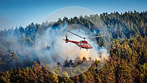 Aerial Firefighting Helicopter Dousing Flames in Forest. photo