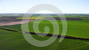 Aerial, Flight Above Rural Countryside Landscape With Growing