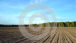 Aerial flight from green forest above plowed field