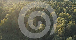 Aerial flight over autumn trees in wild park in september