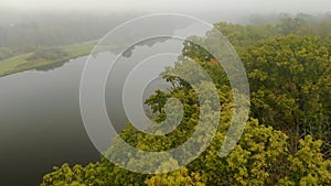 Aerial: flight over the branches of a green oak tree in the forest on the background of a foggy autumn river