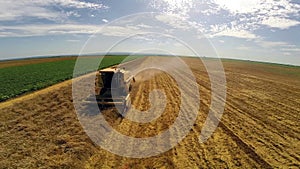 Aerial flight over combine harvesting the wheat rows