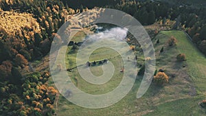 Aerial flight over green meadow countryside farm. Fire with smoke near cottage in autumn forest