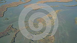 Aerial Flight Over the Swampy Shore at Low Tide