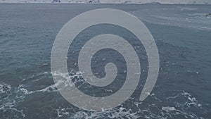 Aerial flight over swimming penguins. Antarctica.