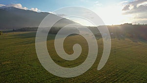 Aerial fly over morning sunrise rural landscape with field and forest