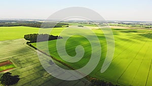 Aerial fly over scenic agricultural farming fields