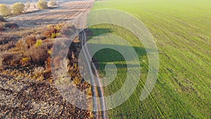 Aerial flying above boys riding bicycle on rutted road past fields in the countryside. Golden hour.