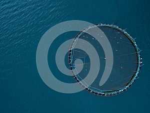 AERIAL: Flying above a cage full of salmon in the sea near the Faroe Islands.