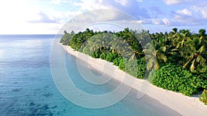 AERIAL: Flying along the white sand shore right next to lush palm tree forest.
