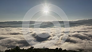 Aerial flying back to reveal silhouette forest foreground with the sea of mist