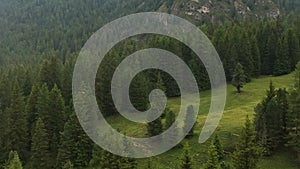 Aerial of flying over a beautiful green forest and mountains in a rural landscape , dolomites Italy