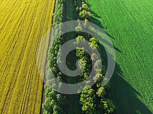 Aerial of flying over a beautiful green meadow