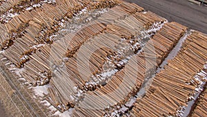 AERIAL: Flying over chopped down tree trunks stacked into piles near a sawmill