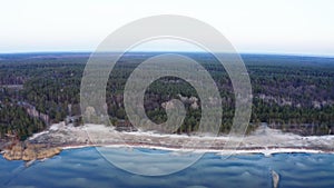 Aerial flying over coast and forest along the shore