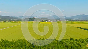 AERIAL: Flying over vast fields of wheat and towards a busy road in the distance