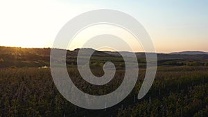 Aerial footage of an agricultural area and green rolling fields.