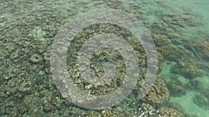 aerial footage, birds eye view of coral reef