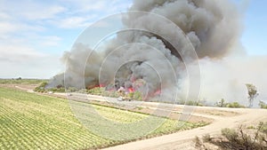 Aerial footage of a brush fire along the silky green waters of the Colorado River surrounded by dry brush and lush green trees