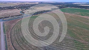 Aerial footage of circle crop irrigation along River Murray on hay crop