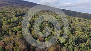 Aerial footage of colorful forest at the foot of the Carpathian mountains in autumn season.